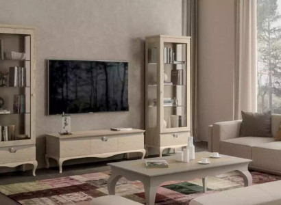 Living room TV cabinet Display case Wall unit Cabinets Design Art déco showcase set