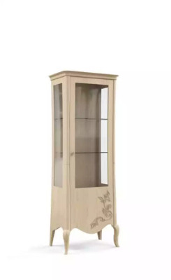 Italian Luxury Furniture Display case Living room Glass Designer Wardrobe new