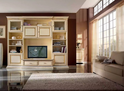 Classic Living Wall Living room Sideboard TV cabinet Shelf Walls Wardrobe new