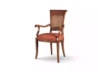 Textile Luxury Furniture Dining room chair Chair with Armrest Dining room Design