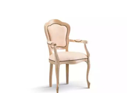 Dining room Chair Wood Luxury Armchair Chairs Living room Furniture Armchair new