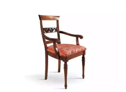 Living room Chair Design Dining room Wood Chairs Upholstery with Armrest new