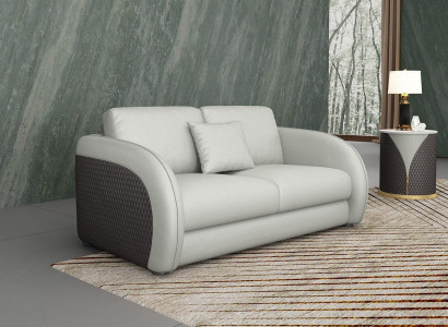 Leather sofa Couch Living landscape 2 Seater Design Modern Sofa Two-seater Genuine leather
