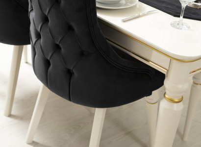 Modern Black Chair Design Wooden Chair Dining Room Chair Luxury Wood Furniture