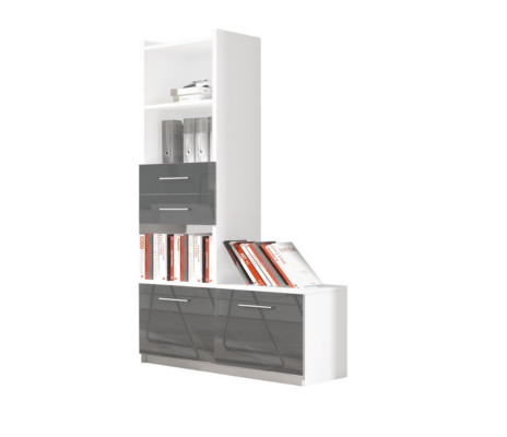 Shelf Wardrobe Bookcase for Childrens room Youth Room Gray White High Gloss