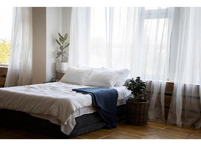 Everything You Need to Know About Box Spring Beds: A Comprehensive Guide