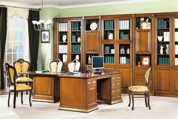 Classic Wardrobe Bookcase Bookshelf Display case Glass cabinet
