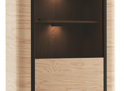 Display case Filing cabinet Wardrobe Showcases Office Living room Tall cabinet