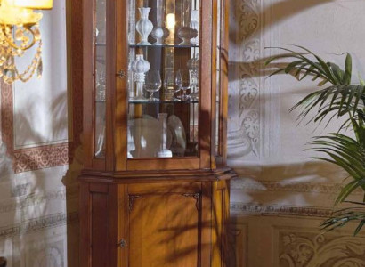 Corner Display case Display case Wardrobe Showcases Living room Show Cabinets Design