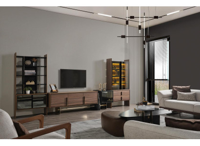 Living room Wall unit TV Lowboard Display case Bookshelf Wood Furniture Modern