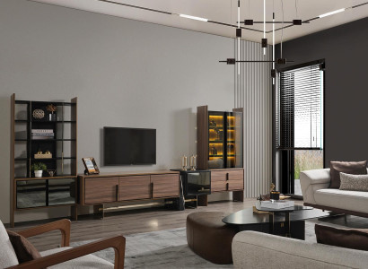 Living room Wall unit TV Lowboard Display case Bookshelf Wood Furniture Modern