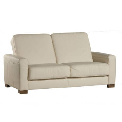 Two-seater Couch Classic Leather Sofa Couch Upholstery Sofa 2 Seater Leather