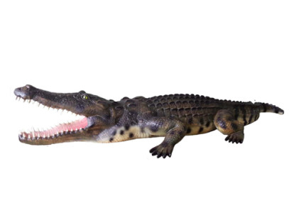 Crocodile Garden Decoration Life Size Statue Figures Sculpture 320cm Statues Figure