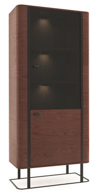 Display case Filing cabinet Wardrobe Showcases Office Living room Tall cabinet Shelf