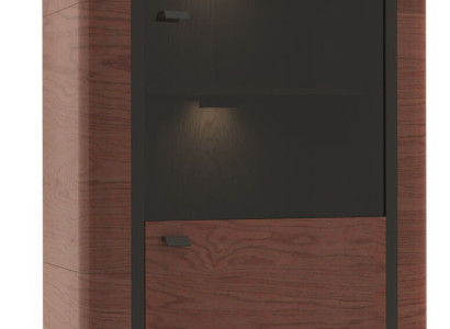 Display case Filing cabinet Wardrobe Showcases Office Living room Tall cabinet Shelf