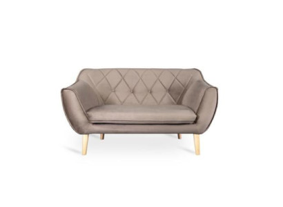 Refined 2-seater sofa in modern style from European furniture manufacturers
