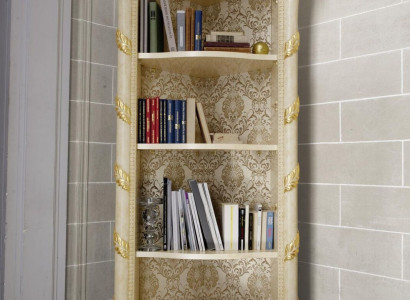 Classic Wardrobe Bookcase Wood new Bookshelf Display case showcase cabinet