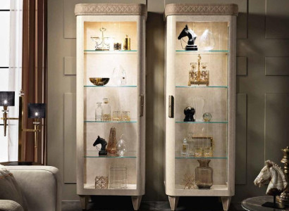 Showcases Glass Wardrobe Cabinets Shelf Wood Display case Design Modern Living room new